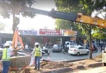 Pune Metro | Maha Metro adopts a new version to save trees by transplantation
