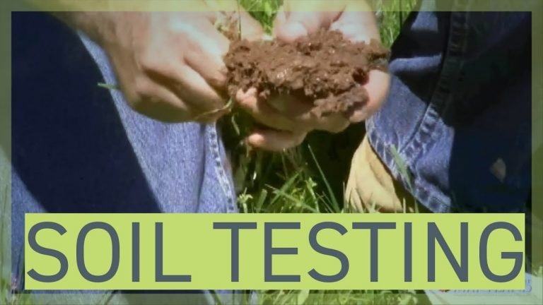 East-West Metro soil test in yield zone