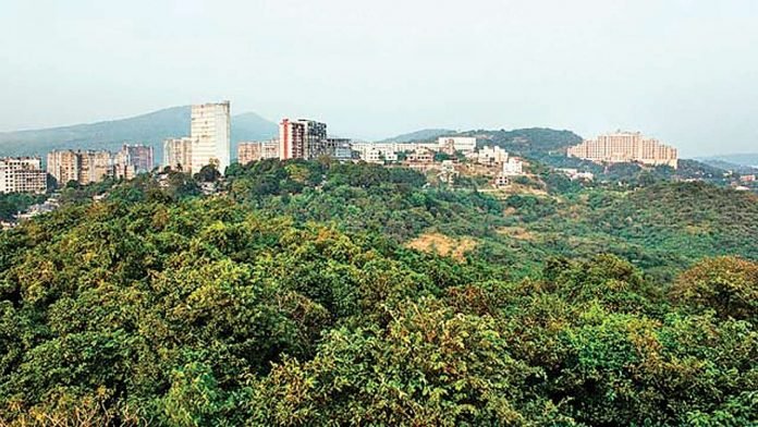 MMRC said Trees already cleared in Aarey Colony, work will start now