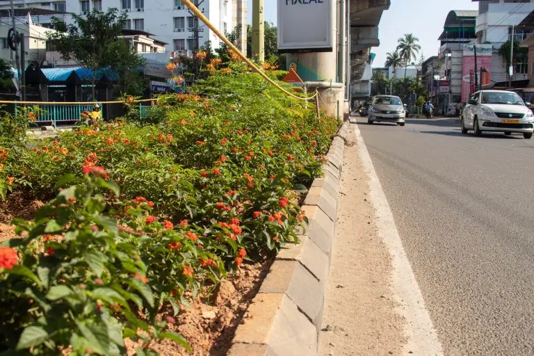Kochi Metro plans to beautify Viaduct Medians: Businesses sponsor 215 medians Kochi Metro plans to beautify Viaduct Medians: Businesses sponsor 215 medians