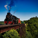 Train Passing on Bridge