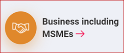 Business including MSMEs