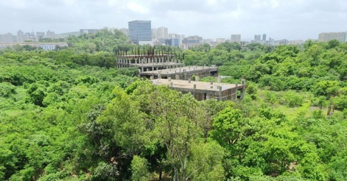 aarey forest area