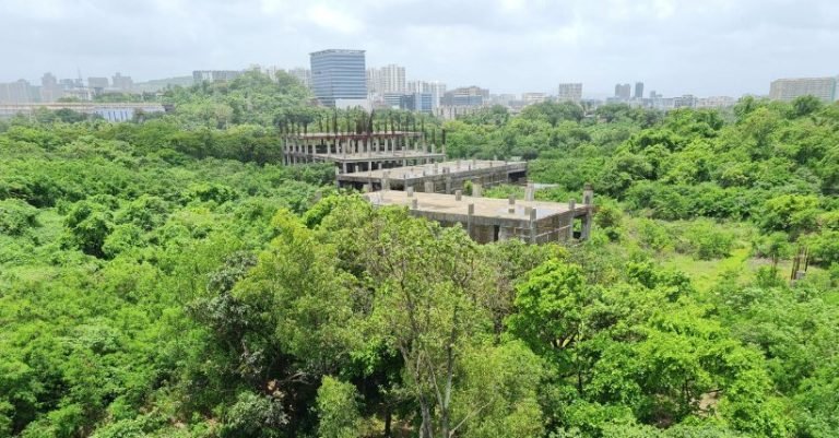 No trees were cut down in the Aarey forest : MMRCL