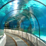 Mumbai-Ahmedabad Undersea Tunnel / representational Image
