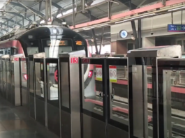 Delhi Metro with PSD