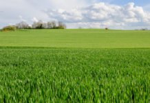 Mumbai-Ahmedabad High-Speed Rail Update: Land Acquisition Completes in Gujarat Land Acquisition Completes in Gujarat under MAHSR Project