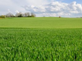 Land Acquisition Completes in Gujarat under MAHSR Project